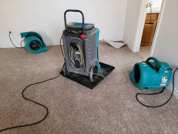Best Water damage repair service  in Anthony, KS