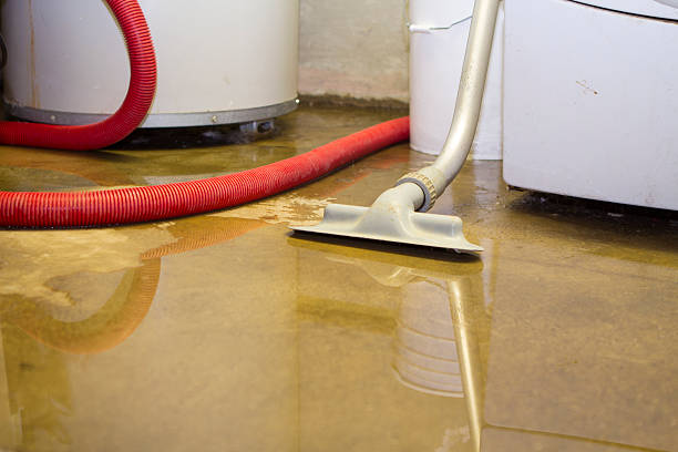 Best Water damage contractors near me  in Anthony, KS