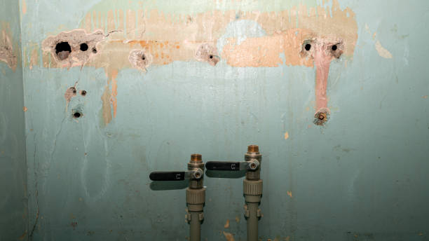 Best Mold removal after water damage  in Anthony, KS