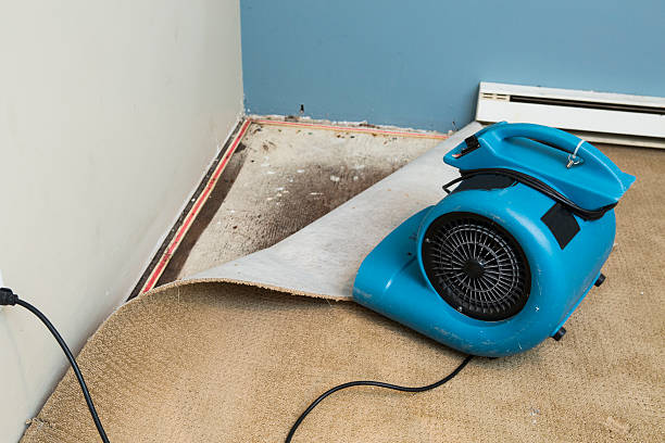 Best 24/7 water damage repair  in Anthony, KS